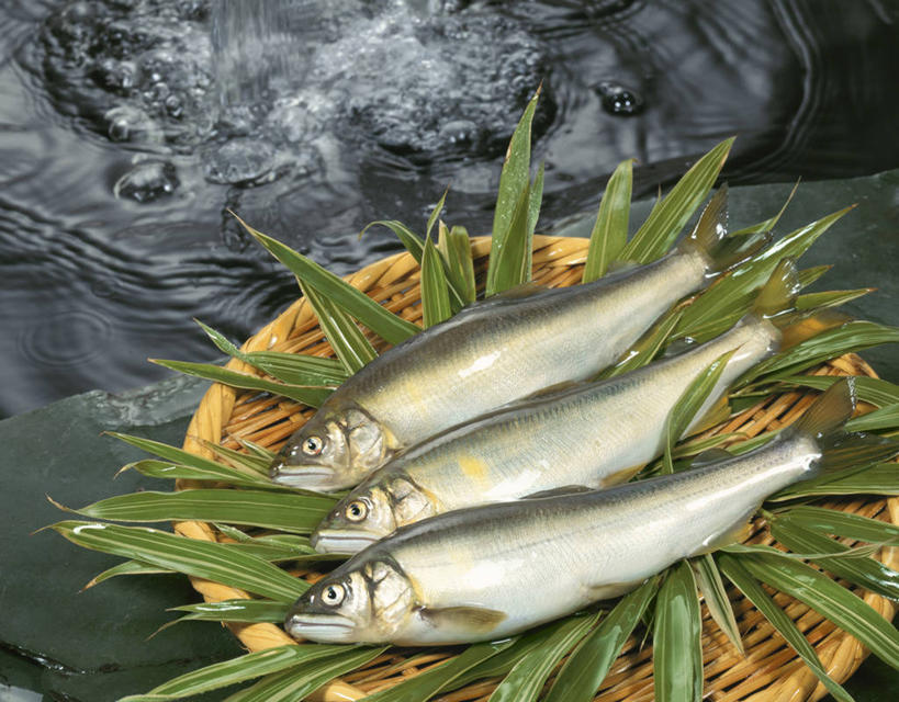 无人,交叉,横图,俯视,室外,特写,白天,河流,水,竹子,叶子,一排,竹制,整齐,编织,鱼,篮子,河水,水流,绿叶,香鱼,水产,鱼类,排列,一个,小溪,竹篮,溪水,嫩叶,三条,单个,竹条,交织,竹制品,队列,水生动物,水生物,穿插,瓜鱼,香油鱼,叶,叶片,彩图,高角度拍摄,全身,淡水生物,河鲜