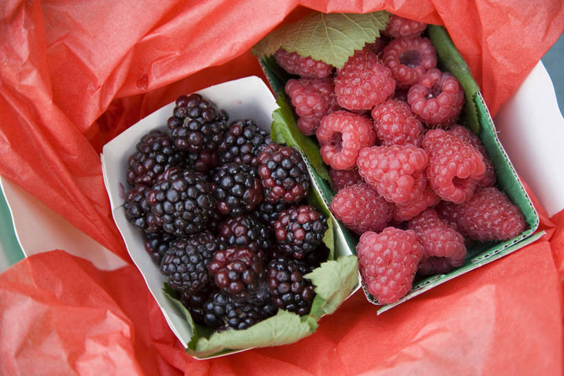 无人,横图,俯视,室外,特写,白天,黑莓,水果,一堆,许多,阴影,堆叠,堆积,新鲜,反射,影子,纸盒,生食,食品,果实,很多,盒子,食物,两个,红色,包装盒,容器,有机食品,绿色食品,储藏,堆,储存,山莓,树莓,三月泡,四月泡,山抛子,刺葫芦,悬钩子,馒头菠,高脚菠,龙船泡,泡儿刺,露莓,彩图,高角度拍摄,贮存