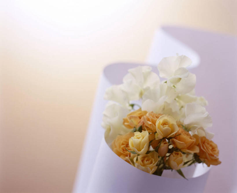 无人,横图,室内,特写,白天,正面,爱情,幸福,纯洁,热情,玫瑰,橙色背景,阴影,朦胧,模糊,盛开,反射,包装,包装纸,影子,纸,玫瑰花,纸张,浪漫,花蕾,花,花瓣,花朵,鲜花,花苞,花蕊,温暖,温馨,橙色,恩爱,摄影,影棚,和睦,包装材料,感动,尊敬,天真,刺玫花,徘徊花,彩图,影棚拍摄,拍摄,香槟玫瑰,融洽