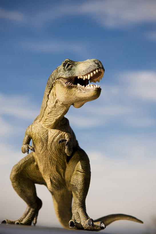 无人,站,竖图,室外,白天,仰视,雕塑,阴影,艺术,装饰,光线,雕刻,雕像,影子,云,云朵,云彩,扭头,注视,一只,蓝色,白云,蓝天,天空,阳光,工艺品,天,观察,看,站着,张嘴,转头,恐龙,晴朗,观看,纪念,美术,察看,关注,主题,凶猛,陈列,张大嘴巴,霸王龙,功能,美学,灭尽,灭绝,暴龙,雷克斯暴龙,雷克斯龙,史前动物,凶残,晴空,张开嘴,站立,彩图,低角度拍摄,全身