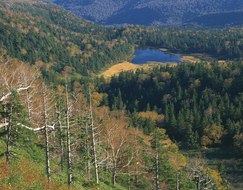 无人,横图,俯视,室外,白天,旅游,度假,湖,湖泊,美景,森林,山,山脉,树林,水,植物,日本,亚洲,阴影,光线,影子,湖面,景观,山峰,水流,水面,山峦,娱乐,树,树木,绿色,阳光,自然,湖水,群山,享受,休闲,景色,放松,生长,成长,自然风光,东亚,本州,本州岛,日本国,岩手,岩手县,东北地方,八幡平市,彩图,高角度拍摄