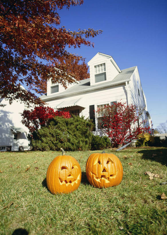 脸,头,脸颊,无人,家,竖图,室外,白天,仰视,旅游,度假,草地,草坪,美景,植物,别墅,南瓜,蔬菜,照明,美国,阴影,节日,庆祝,新鲜,装饰,光线,影子,房屋,屋子,景观,公寓,灯光,金瓜,食品,文化,娱乐,洋房,楼房,镂空,番瓜,住宅,灯,草,树,树木,食物,两个,蓝色,绿色,蓝天,天空,阳光,自然,灯具,天,庆典,享受,休闲,南瓜灯,万圣节,景色,放松,有机食品,绿色食品,生长,晴朗,成长,纪念,华丽,修饰,麦瓜,倭瓜,照亮,点缀,北美,北美洲,照明设备,自然风光,美洲,万里无云,北亚美利加洲,亚美利加洲,衬托,美观,雅致,雅观,爱荷华州,艾奥瓦,艾奥瓦州,爱我华州,衣阿华州,鹰眼州,美国粮仓,镂刻,头部,脸部,脸蛋,面部,晴空,晴空万里,彩图,低角度拍摄,房子,美利坚合众国