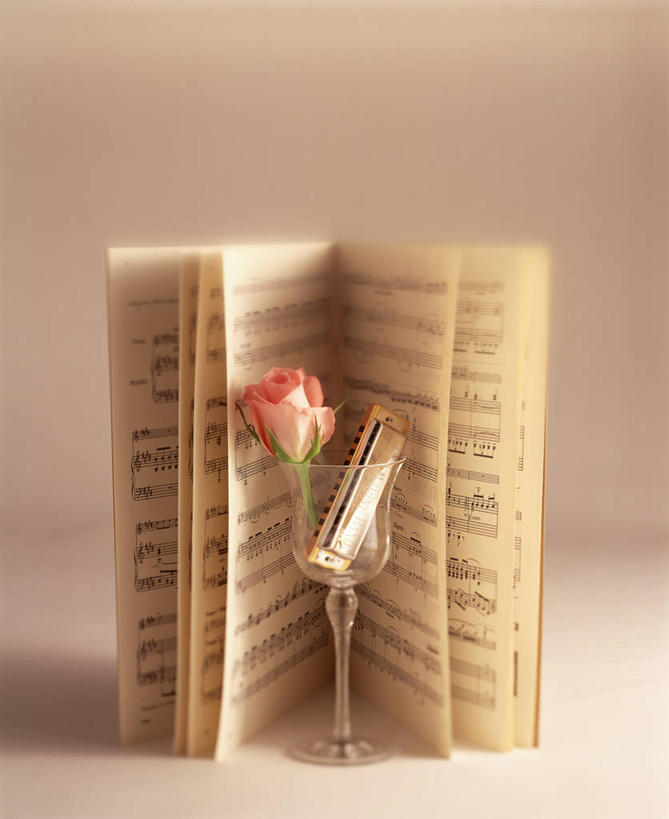 无人,竖图,室内,特写,白天,正面,爱情,幸福,纯洁,热情,玫瑰,杯子,书籍,阴影,盛开,反射,高脚杯,影子,玫瑰花,吹奏乐器,口琴,乐谱,乐器,五线谱,红酒杯,浪漫,音乐,花蕾,玻璃制品,花,花瓣,花朵,鲜花,一朵,粉色,酒杯,花苞,花蕊,温暖,温馨,恩爱,摄影,影棚,和睦,节拍,葡萄酒杯,音符,感动,粉玫瑰,符头,符干,符尾,乐章,尊敬,天真,刺玫花,徘徊花,玻璃杯,彩图,影棚拍摄,拍摄,融洽