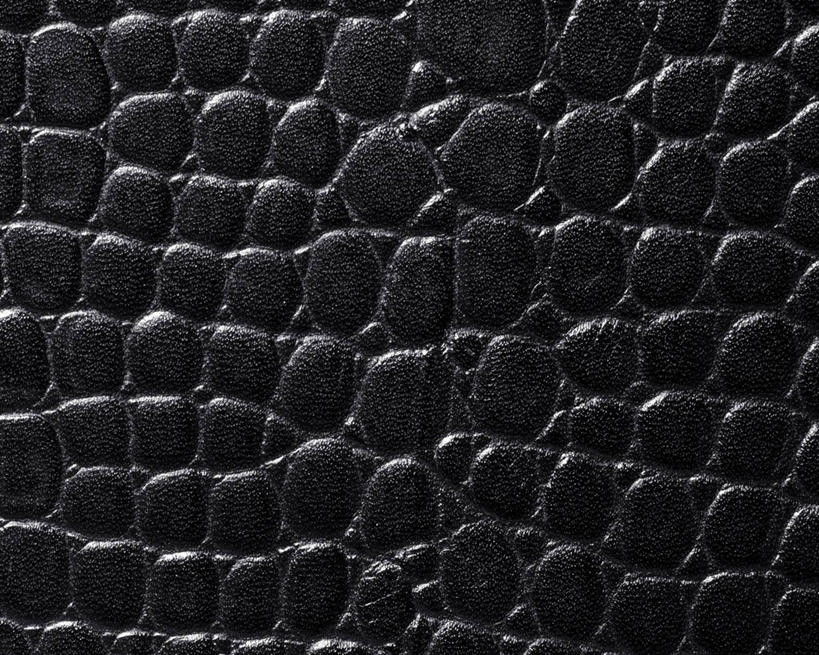 无人,横图,俯视,室内,特写,白天,神秘,静物,阴影,反射,纹路,纹理,影子,皮,皮革,黑色,皮肤,严肃,鳄鱼皮,皮毛,庄重,含蓄,肌理,沉静,中间色,彩图,高角度拍摄,全画面,全框架,全帧,鳄鱼皮革,全画幅