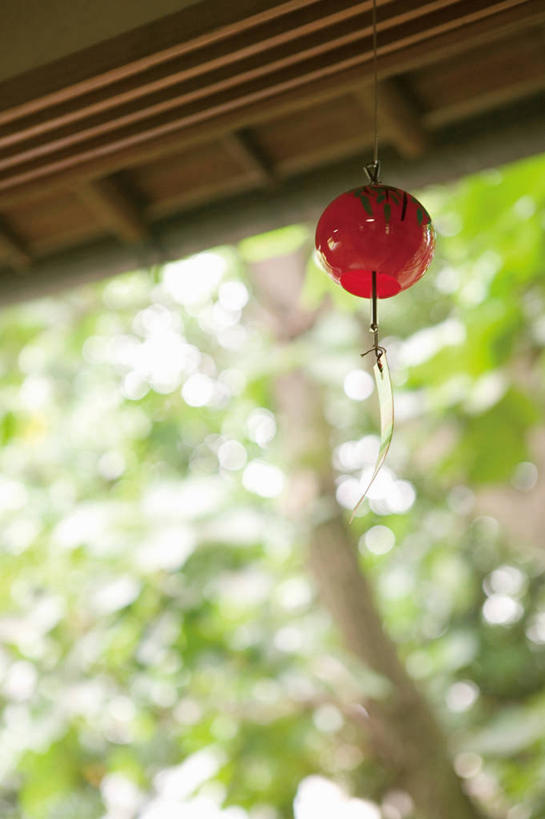 无人,竖图,室外,特写,白天,仰视,幸福,运气,树林,植物,风铃,吊挂,悬挂,阴影,朦胧,模糊,光线,影子,挂,树,树木,一个,红色,绿色,阳光,自然,祈祷,祈福,警示,许愿,生长,单个,成长,祈求,吉祥,平和,问候,警惕,思念,想念,玉振,幸运,占风铎,彩图,低角度拍摄,日式风铃