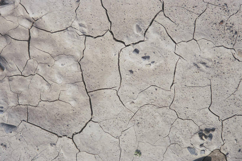 无人,横图,俯视,室外,特写,白天,阴影,干枯,光线,纹路,纹理,影子,地面,破坏,破损,阳光,损坏,干涸,肌理,枯竭,彩图,高角度拍摄