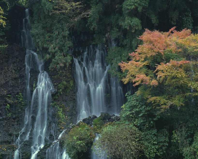 无人,横图,室外,白天,正面,石头,瀑布,树林,水,峡谷,植物,长野县,日本,亚洲,阴影,飞溅,溅,光线,石子,液体,影子,水滴,山谷,水珠,树,树木,绿色,阳光,自然,生长,成长,岩层,喷洒,东亚,本州,本州岛,日本国,中部地方,长野,轻井泽,轻井泽町,白丝瀑布,跌水,石块,岩石,彩图,北佐久郡