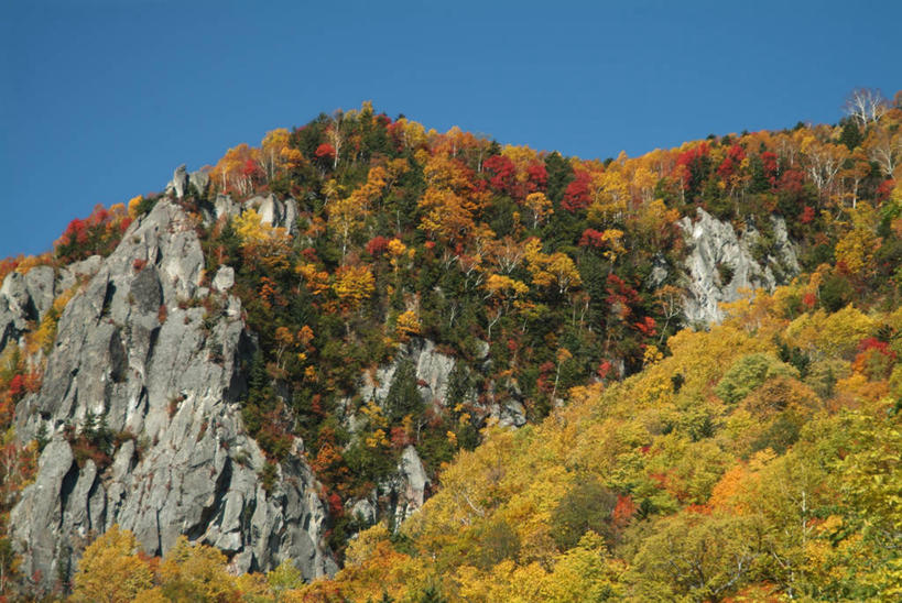 无人,公园,横图,室外,白天,仰视,旅游,度假,美景,秋季,森林,山,山脉,树林,植物,北海道,日本,亚洲,阴影,光线,影子,景观,山峰,山峦,娱乐,树,树木,蓝色,绿色,蓝天,天空,阳光,自然,群山,天,享受,休闲,景色,放松,生长,晴朗,成长,自然风光,东亚,万里无云,日本国,北海道地方,北海道岛,国立公园,层云峡,晴空,晴空万里,秋,秋天,彩图,低角度拍摄,大雪山国立公园