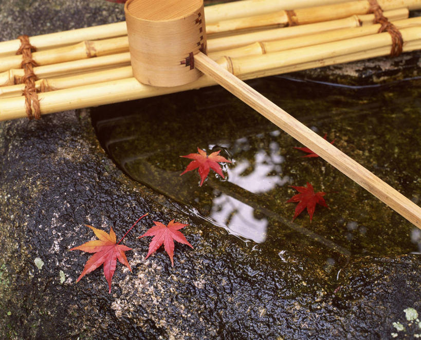 无人,横图,俯视,室外,特写,白天,美景,水,枫树,叶子,阴影,朦胧,模糊,日本文化,光线,木制,液体,影子,勺子,庭院,景观,水滴,院子,茶道,枫叶,枯叶,落叶,文化,黄色,红色,阳光,自然,木制品,调羹,汤匙,景色,枫树叶,园林,茶艺,环境,自然风光,东亚文化,槭树,礼法,修行,鸡爪槭,叶,叶片,鸡爪枫,彩图,高角度拍摄,茶庭,露地,茶文化