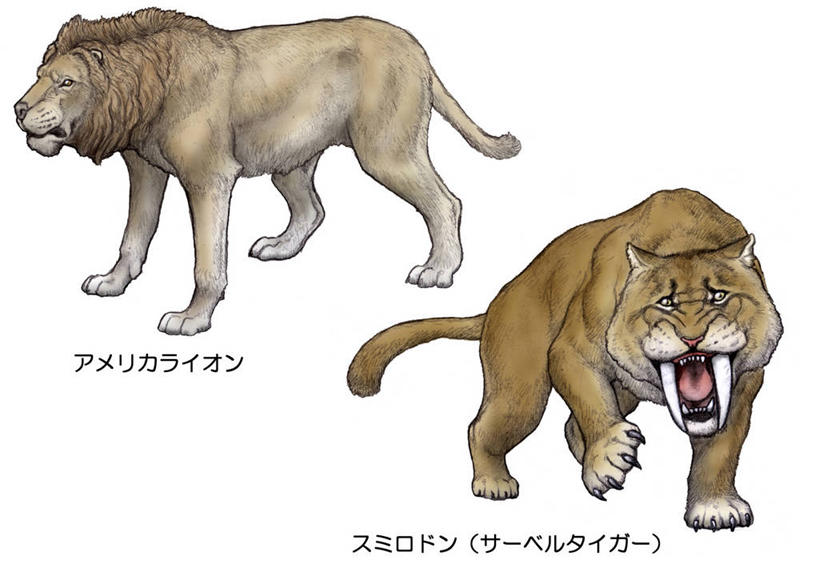 无人,站,横图,插画,室内,白天,白色背景,正面,数码,科技,野生动物,两头,阴影,网络,英文,标志,文字,字符,字母,高光,几何,计算机图形,合成,图画,注视,标识,画,动物,观察,看,站着,张嘴,观看,英文字母,电脑合成图,数码合成图,察看,合成图,关注,凶猛,漫画,张大嘴巴,写实,具体,具象,灭尽,灭绝,短剑虎,短剑剑齿虎,剑齿虎,史前生物,残暴,凶残,张开嘴,站立,彩图,全身