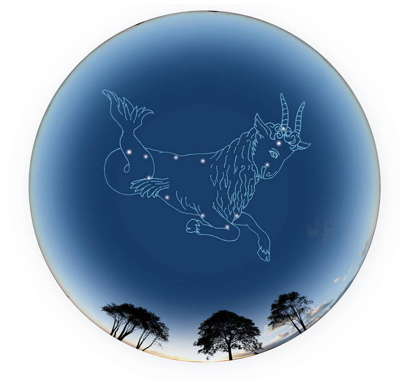 无人,横图,室内,夜晚,白色背景,正面,探险,神秘,数码,宇宙,科技,星空,植物,夜景,阴影,科学,太空,网络,高光,几何,计算机图形,合成,树,树木,绿色,自然,可爱,探索,星座,生长,成长,发现,电脑合成图,数码合成图,天体,合成图,气质,占卜,天文学,外太空,写实,具体,具象,可靠,摩羯座,隐忍,山羊座,星夜,夜空,彩图