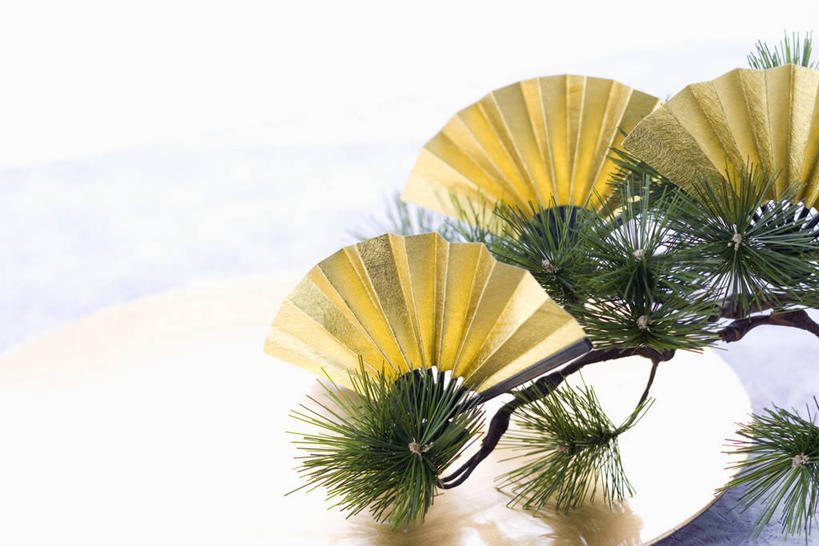 无人,横图,室内,特写,白天,白色背景,正面,松树,叶子,扇子,折扇,纸扇,绿叶,枝条,清凉,凉爽,文化,树枝,金色,嫩叶,摄影,影棚,富贵,坚定,忠诚,长寿,撒扇,富丽,贞洁,名誉,荣华,虬枝,枝杈,叶,叶片,彩图,影棚拍摄,拍摄,传统文化