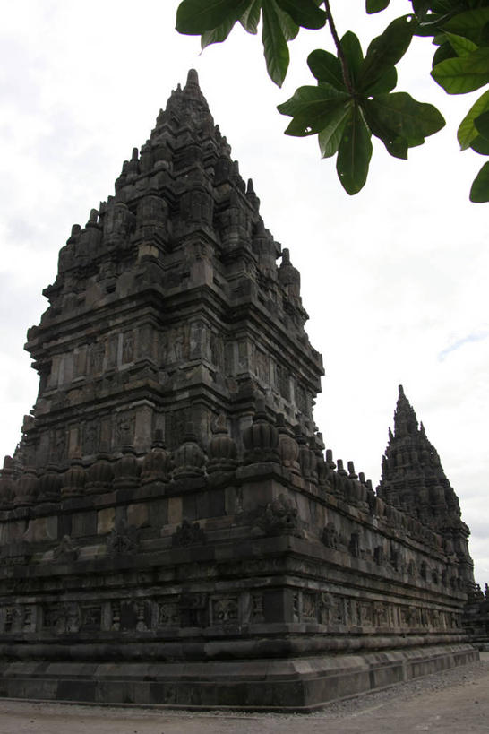 无人,竖图,室外,白天,仰视,旅游,度假,名胜古迹,植物,标志建筑,地标,建筑,叶子,印度尼西亚,印尼,亚洲,节日,遗迹,绿叶,枝条,古迹,文化,文物,娱乐,建设,古建筑,树,树木,树枝,绿色,天空,自然,天,祈祷,享受,休闲,健康,嫩叶,旅游胜地,放松,许愿,宗教,东南亚,信仰,生长,成长,纪念,祈求,古文明,印度教,印度尼西亚共和国,虬枝,枝杈,爪哇,爪哇岛,巴兰班南,拔兰班南寺,普兰巴南寺庙群,日惹,平安,叶,叶片,彩图,低角度拍摄