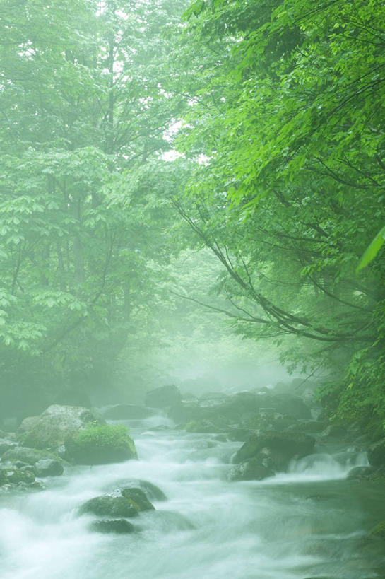 无人,竖图,室外,白天,正面,旅游,度假,河流,石头,美景,树林,水,植物,雾,日本,亚洲,朦胧,模糊,石子,河水,景观,水流,娱乐,树,树木,绿色,小溪,自然,溪水,享受,休闲,景色,放松,生长,成长,迷雾,自然风光,东亚,本州,本州岛,日本国,东北地方,山形,山形县,石块,岩石,大雾,彩图,东田川郡,庄内町