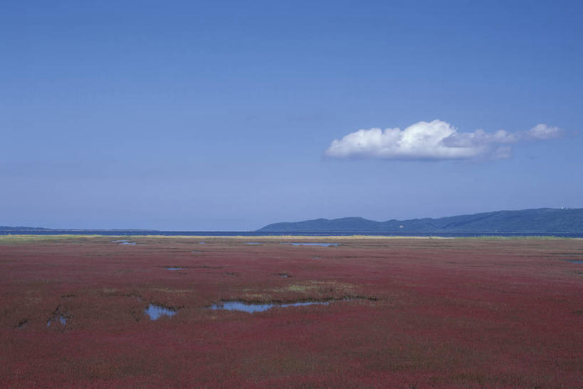 无人,横图,室外,白天,正面,旅游,度假,美景,山,山脉,植物,北海道,日本,亚洲,阴影,光线,影子,池塘,景观,山峰,水池,云,云朵,山峦,云彩,娱乐,蓝色,绿色,白云,蓝天,天空,阳光,自然,群山,天,享受,休闲,景色,放松,生长,晴朗,成长,自然风光,东亚,日本国,北海道地方,北海道岛,海蓬子,晴空,彩图,鄂霍次克综合振兴局,道东,网走,网走市,网走支厅