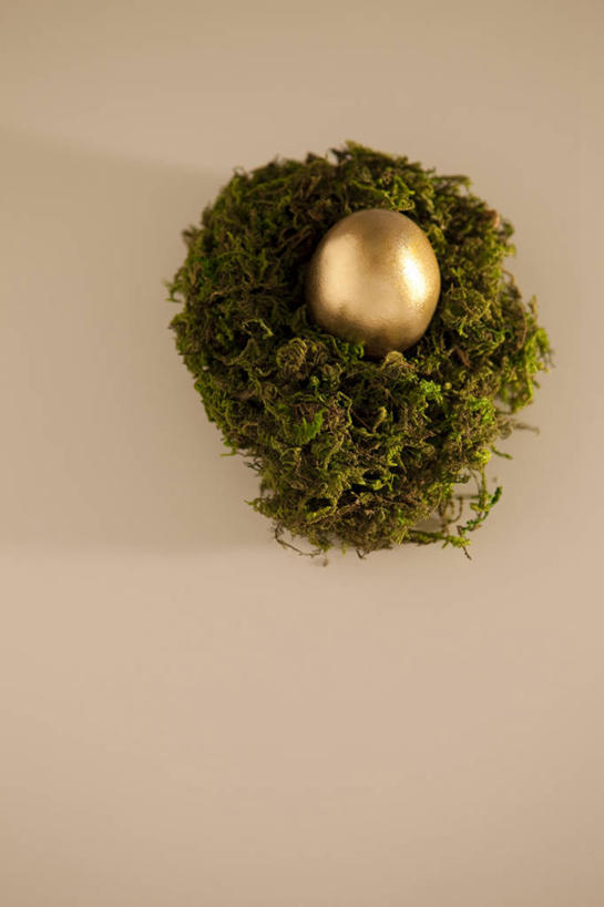 无人,竖图,俯视,室内,特写,白天,草地,草坪,植物,阴影,米色背景,反射,花环,影子,蛋,草,一个,绿色,金色,金融,理财,摄影,影棚,经济,单个,金蛋,流通,贸易,卵,彩图,高角度拍摄,影棚拍摄,拍摄