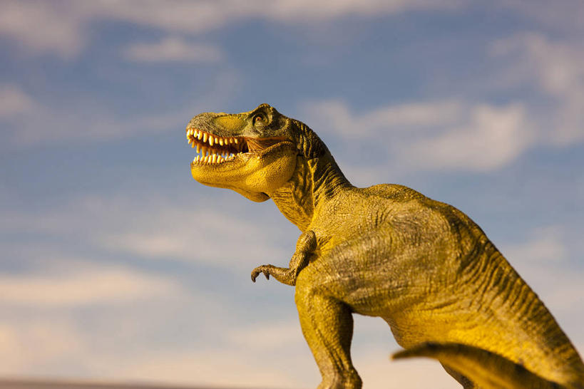 无人,站,横图,室外,白天,仰视,日落,雕塑,阴影,朦胧,模糊,艺术,装饰,光线,雕刻,雕像,影子,晚霞,霞光,落日,注视,一只,阳光,黄昏,工艺品,观察,看,站着,张嘴,彩霞,恐龙,观看,纪念,美术,察看,关注,主题,凶猛,陈列,张大嘴巴,霸王龙,功能,美学,灭尽,灭绝,暴龙,雷克斯暴龙,雷克斯龙,史前动物,夕照,薄暮,凶残,夕阳,张开嘴,抬头,仰头,站立,半身,彩图,低角度拍摄,傍晚,斜阳