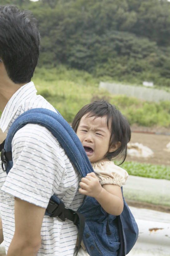 东方人,婴儿,儿童,中年人,两个人,家庭,父亲,走,抱,哭,竖图,室外,白天,侧面,纯洁,草地,草坪,树林,植物,亚洲,服装,朦胧,模糊,扭头,注视,休闲装,黄种人,草,树,树木,小孩,衣服,绿色,自然,观察,看,转头,休闲,温暖,温馨,一家人,休闲服,父爱,可爱,童年,童趣,眼泪,服饰,活泼,生长,成长,抱着,观看,背带,和睦,察看,搂着,泪水,关注,宝宝,童真,纯真,烂漫,无邪,伶俐,天真,男人,男性,中年男性,亚洲人,孩子,步行,搂,搂抱,散步,走路,半身,彩图,哭泣,哭啼,融洽,婴儿背带