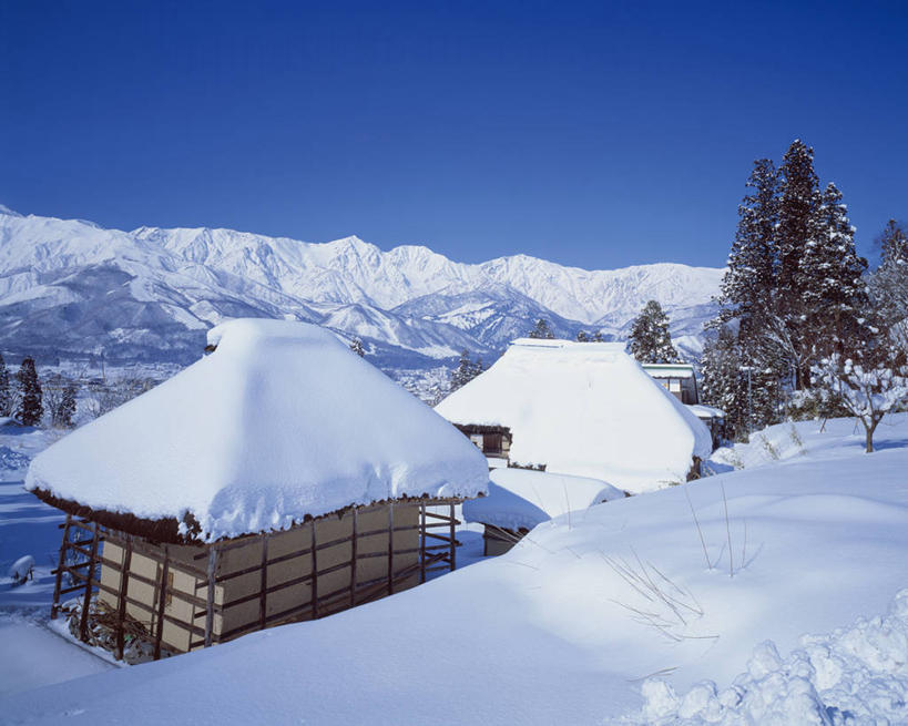 无人,家,木屋,横图,俯视,室外,白天,旅游,度假,美景,山,雪,雪山,植物,大雪,长野县,日本,亚洲,阴影,光线,影子,冰,积雪,景观,山峰,雪景,冬季,冬天,山峦,娱乐,住宅,树,树木,蓝色,绿色,蓝天,天空,阳光,自然,天,享受,休闲,景色,放松,寒冷,生长,晴朗,成长,冰冷,自然风光,东亚,本州,万里无云,本州岛,日本国,中部地方,长野,严寒,冰凉,酷寒,凛冽,凛凛,极冷,北安,北安昙郡,晴空,晴空万里,彩图,高角度拍摄,茅舍,茅屋,棚屋,小木屋,小屋,白马村