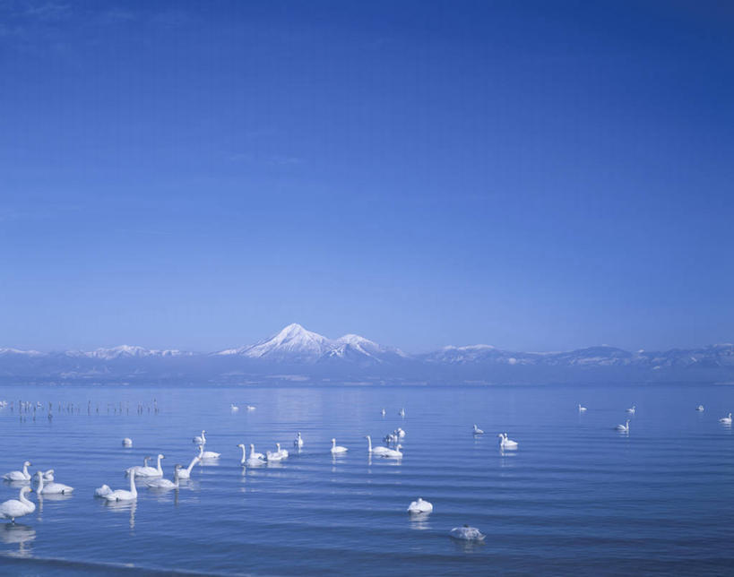 游泳,无人,横图,室外,白天,正面,旅游,度假,湖,湖泊,美景,山,水,雪,雪山,大雪,鸟,野生动物,天鹅,日本,亚洲,许多,阴影,光线,鸟类,影子,冰,湖面,积雪,景观,山峰,水流,水面,雪景,冬季,冬天,山峦,很多,注视,娱乐,蓝色,蓝天,天空,阳光,自然,动物,湖水,天,观察,看,享受,休闲,景色,放松,寒冷,可爱,晴朗,观看,察看,冰冷,关注,自然风光,东亚,本州,万里无云,本州岛,日本国,东北地方,福岛,福岛县,严寒,冰凉,酷寒,凛冽,凛凛,极冷,泅水,拍浮,晴空,晴空万里,鹄,半身,彩图