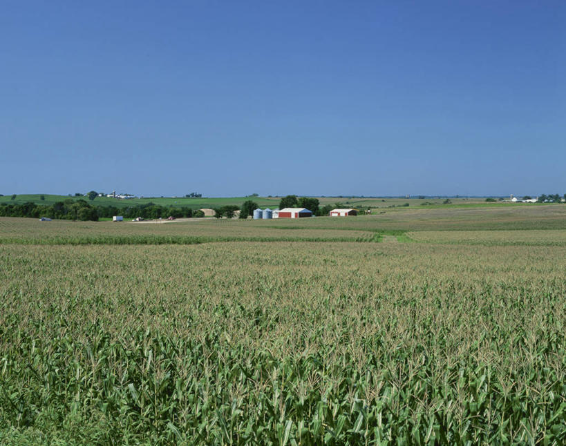 无人,家,农田,横图,室外,白天,正面,旅游,度假,庄稼,农作物,美景,美国,阴影,光线,影子,房屋,屋子,景观,娱乐,楼房,住宅,蓝色,蓝天,天空,阳光,自然,天,享受,休闲,景色,放松,晴朗,北美,北美洲,自然风光,美洲,万里无云,北亚美利加洲,亚美利加洲,爱荷华州,艾奥瓦,艾奥瓦州,爱我华州,衣阿华州,鹰眼州,美国粮仓,晴空,晴空万里,玉米田,彩图,耕地,庄稼田,房子,美利坚合众国