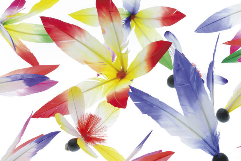 无人,横图,俯视,彩色,室内,特写,白天,白色背景,锻炼,运动,静物,阴影,反射,板羽球,影子,运动器械,健身器械,摄影,影棚,五颜六色,毽子,色彩斑斓,健身器材,五彩缤纷,羽子板,毽球,花毽,鸡毛毽,打手毽,毽子板球,五彩斑斓,五光十色,体育,彩图,高角度拍摄,影棚拍摄,健身,拍摄,运动器材