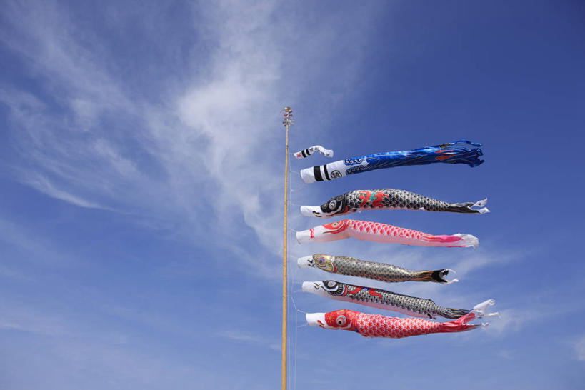 无人,横图,室外,白天,仰视,美景,旗帜,日本,亚洲,许多,阴影,节日,庆祝,飘扬,光线,鲤鱼旗,影子,景观,云,云朵,很多,云彩,文化,旗子,蓝色,白云,蓝天,天空,阳光,自然,天,祈福,庆典,景色,晴朗,纪念,飘逸,祈求,自然风光,飞扬,东亚,本州,关东地方,本州岛,日本国,群马,群马县,旌旗,旗号,鲤鱼节,男孩节,日本男孩节,子供之日,鲤帜,晴空,彩图,低角度拍摄