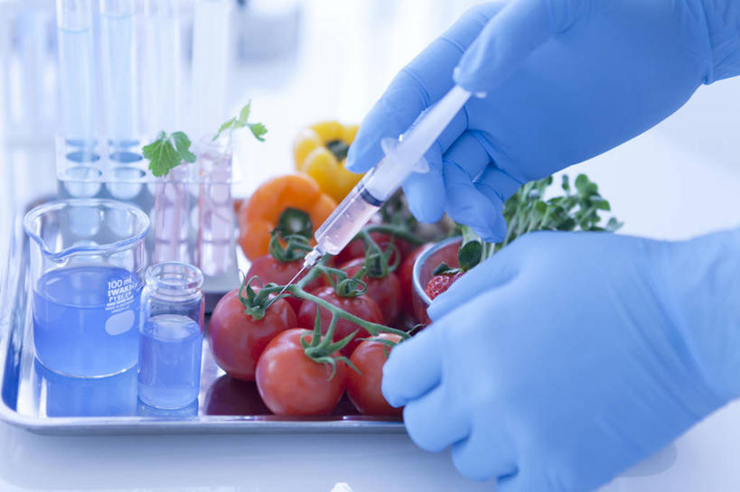 东方人,手,一个人,科学家,横图,俯视,室内,特写,白天,实验,仪器,桌面,桌子,辣椒,蔬菜,西红柿,小番茄,杯子,亚洲,双手,仅一个男性,仅一个人,许多,握,阴影,朦胧,模糊,新鲜,研究,透明,反射,分析,化学,测试,烧杯,试管,试管架,影子,实验室,研究室,食品,很多,黄种人,架子,玻璃制品,食物,仅一个年轻男性,玻璃瓶,瓶子,手套,手部,橡胶,器皿,针管,针筒,握着,注射,有机食品,绿色食品,医疗,医疗设备,注射器,科研人员,研究者,橡胶手套,工作台,计量,彩椒,橡胶制品,试验室,辣角,红海椒,大椒,辣虎,广椒,科学研究者,玻璃仪器,试验耗材,实验用品,医用手套,小西红柿,樱桃小番茄,珍珠小番茄,男人,男性,年轻男性,亚洲人,科学工作者,玻璃杯,樱桃番茄,甜椒,柿子椒,圣女果,辣子,海椒,番茄,番椒,灯笼椒,半身,彩图,高角度拍摄,实验台,实验桌