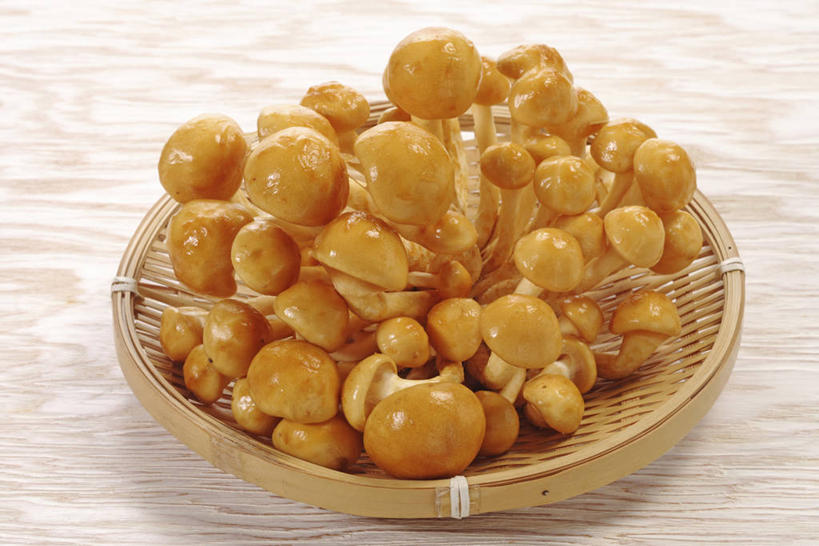 无人,交叉,横图,俯视,室内,特写,白天,竹子,蔬菜,一堆,许多,阴影,堆叠,堆积,竹制,朦胧,模糊,新鲜,编织,反射,篮子,影子,菌菇,食品,很多,菌类,食物,竹篮,食用菌,有机食品,绿色食品,竹条,堆,交织,竹制品,真菌,滑子菇,珍珠菇,滑菇,穿插,彩图,高角度拍摄