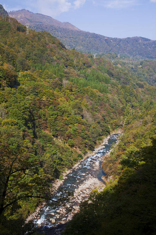 无人,竖图,俯视,航拍,室外,白天,旅游,度假,河流,美景,森林,山,山脉,树林,水,植物,日本,亚洲,阴影,光线,影子,河水,景观,山峰,水流,云,云朵,山峦,云彩,娱乐,树,树木,蓝色,绿色,白云,蓝天,天空,阳光,自然,群山,天,享受,休闲,景色,放松,生长,晴朗,成长,鸟瞰,自然风光,东亚,本州,本州岛,日本国,中部地方,岐阜,岐阜县,晴空,彩图,高角度拍摄,中津川市