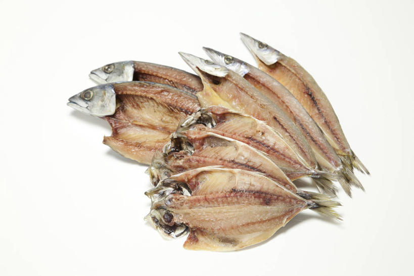 海鲜,无人,横图,室内,特写,白天,白色背景,正面,一排,许多,整齐,并列,并排,鱼,肉,鱼肉,很多,鲭鱼,水产,肉类,鱼类,海洋生物,排列,摄影,影棚,巴浪,花池鱼,花鲱,花鳀,青花鱼,鲐鲅鱼,油胴鱼,竹荚鱼,队列,水生动物,海产品,平行,水生物,肉食,海底动物,梭子鱼,海狼鱼,金梭鱼,梭鱼,刺公,山鲐鱼,彩图,影棚拍摄,拍摄