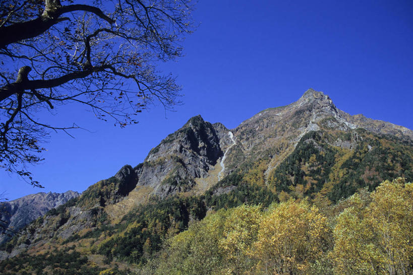 无人,横图,室外,白天,仰视,旅游,度假,美景,山,山脉,树林,植物,长野县,日本,亚洲,阴影,光线,影子,景观,山峰,山峦,娱乐,树,树木,蓝色,绿色,蓝天,天空,阳光,自然,群山,天,享受,休闲,景色,放松,生长,晴朗,成长,自然风光,东亚,本州,万里无云,本州岛,日本国,中部地方,长野,日本阿尔卑斯山脉,松本市,晴空,晴空万里,彩图,低角度拍摄