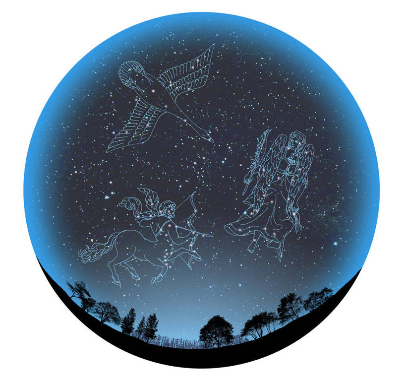 无人,横图,室内,夜晚,白色背景,正面,数码,宇宙,科技,草地,草坪,树林,植物,阴影,网络,星星,高光,几何,计算机图形,合成,草,树,树木,绿色,自然,健康,射手座,星座,生长,成长,电脑合成图,数码合成图,恒星,坚强,合成图,天文,善良,占卜,天文学,写实,具体,具象,人马座,多情,处女座,慷慨,宽厚,仁慈,室女座,坦诚,细心,星相,占星,天鹅座,彩图