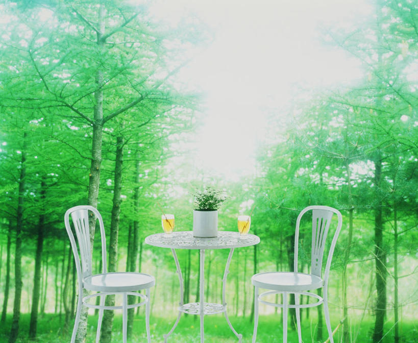 果汁,无人,横图,室外,白天,正面,草地,草坪,美景,树林,植物,餐桌,桌子,杯子,椅子,花盆,阴影,光线,影子,陶瓷,景观,陶瓷制品,饮品,玻璃制品,草,树,树木,饮料,两个,绿色,天空,阳光,自然,容器,水杯,天,景色,生长,成长,餐台,储藏,储存,可口,自然风光,适口,玻璃杯,彩图,贮存