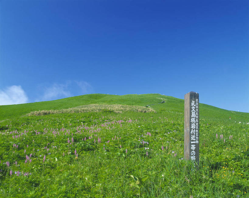 无人,横图,室外,白天,正面,旅游,度假,草地,草坪,美景,植物,雕塑,北海道,日本,亚洲,阴影,艺术,装饰,光线,雕刻,雕像,影子,景观,云,云朵,云彩,娱乐,石雕,石刻,草,蓝色,绿色,白云,蓝天,天空,阳光,自然,石碑,工艺品,天,享受,休闲,景色,放松,晴朗,纪念,美术,自然风光,主题,陈列,东亚,日本国,北海道地方,北海道岛,功能,美学,晴空,彩图,振兴局,礼文岛,礼文郡,礼文町,宗谷综合振兴局