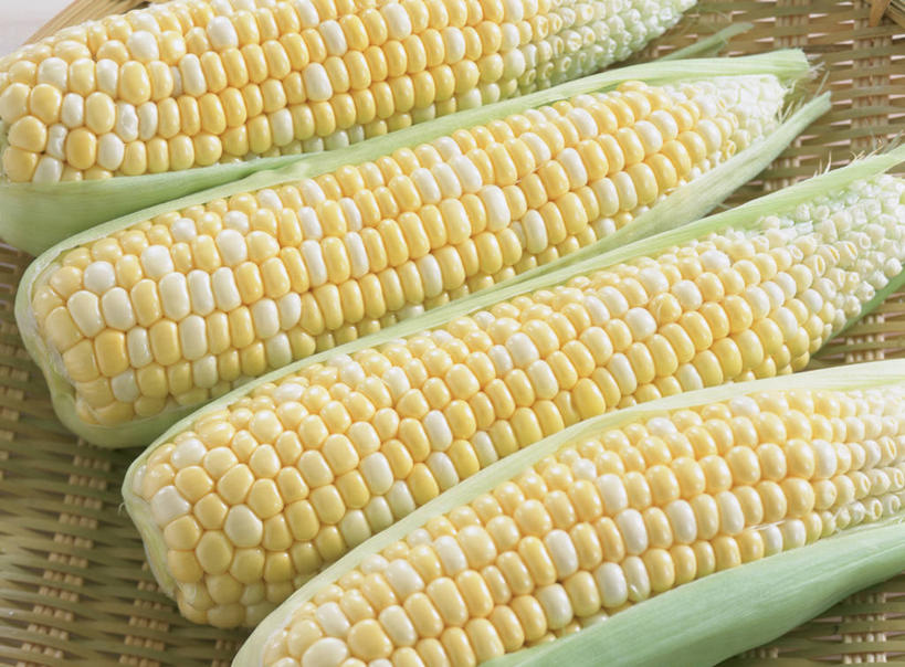 无人,横图,俯视,室内,特写,白天,玉米,蔬菜,一排,阴影,新鲜,整齐,反射,棒子,影子,玉蜀黍,食品,食物,排列,黄色,四个,有机食品,绿色食品,苞米,队列,苞芦,苞谷,包谷,大蜀黍,番麦,薏米包,玉高粱,玉麦,珍珠米,彩图,高角度拍摄,甜玉米