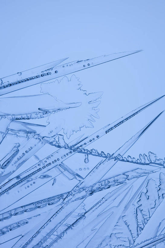 无人,竖图,室内,特写,白天,正面,蓝色背景,透明,纹路,纹理,冰,蓝色,浮冰,寒冷,摄影,影棚,冰冷,肌理,严寒,理智,冰凉,沉静,酷寒,凛冽,凛凛,极冷,流冰,浮冰块,冷色,高深,冷淡,彩图,影棚拍摄,拍摄