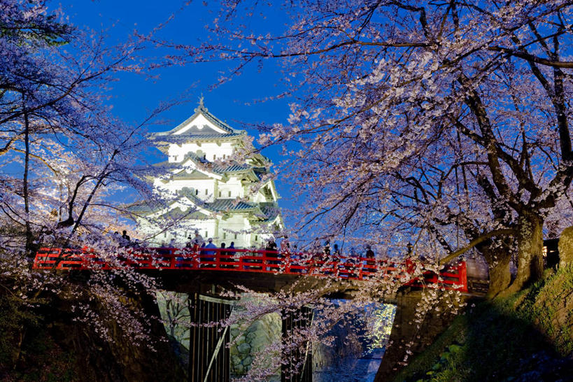 无人,公园,栏杆,横图,室外,夜晚,正面,旅游,度假,幸福,纯洁,名胜古迹,植物,标志建筑,地标,建筑,樱花,日本,亚洲,阴影,遗迹,盛开,光线,木板,影子,堡垒,城堡,围栏,桥,灯光,木桥,花蕾,古迹,文物,娱乐,建设,古建筑,护栏,栈桥,花,花瓣,花朵,鲜花,树,树木,粉色,蓝色,绿色,蓝天,天空,自然,天,花苞,花蕊,享受,休闲,旅游胜地,放松,生长,晴朗,成长,等待,人行桥,木板桥,生命,要塞,古文明,东亚,本州,万里无云,本州岛,日本国,青森,青森县,东北地方,仙樱花,福岛樱,青肤樱,高尚,热烈,弘前,弘前市,弘前城,鹰冈城,设防,晴空,晴空万里,荆桃,彩图,青森弘前公园