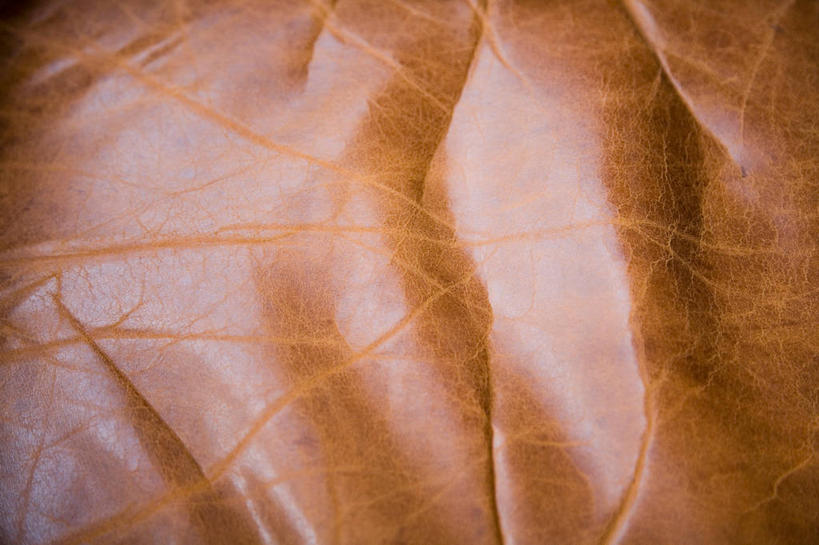 无人,横图,俯视,室内,特写,白天,沙发,静物,阴影,反射,纹路,纹理,影子,棕色,肌理,彩图,高角度拍摄,皮沙发