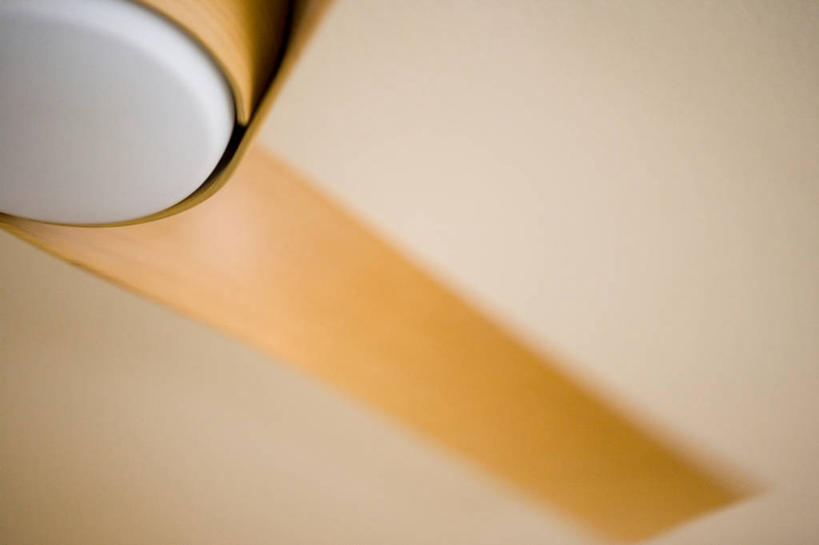 无人,横图,室内,特写,白天,仰视,天花板,静物,阴影,朦胧,模糊,反射,电器,影子,风扇,夏季,清凉,凉爽,白色,夏天,吊扇,电风扇,电扇,家电,家用电器,彩图,低角度拍摄,小家电