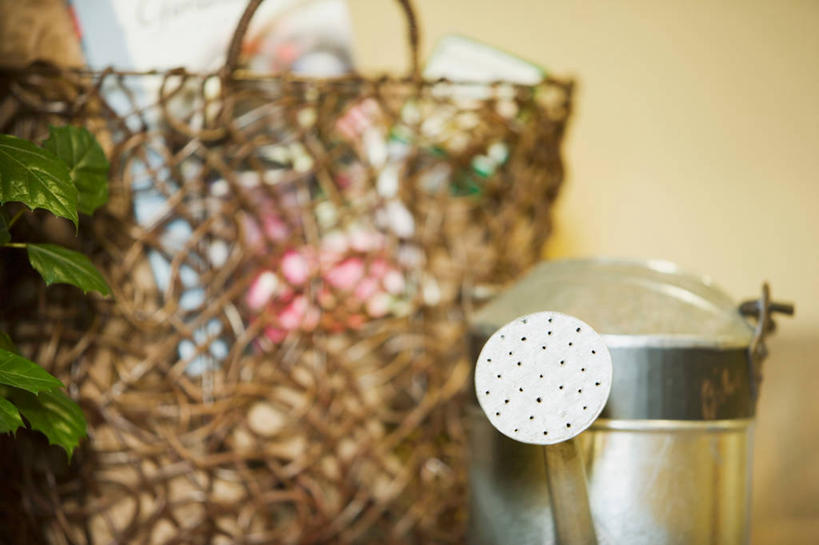 无人,横图,室内,特写,白天,正面,植物,阴影,朦胧,模糊,反射,包,壶,盆栽,影子,盆景,洒水壶,水壶,一个,绿色,自然,生长,单个,成长,单肩包,浇水壶,彩图,草编包