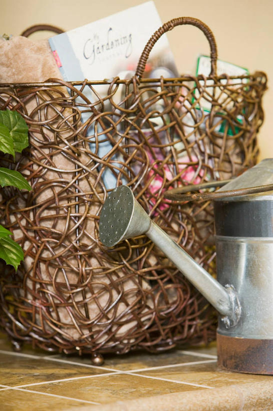 无人,竖图,室内,特写,白天,正面,植物,阴影,反射,包,壶,盆栽,影子,盆景,洒水壶,水壶,一个,绿色,自然,生长,单个,成长,单肩包,浇水壶,彩图,草编包