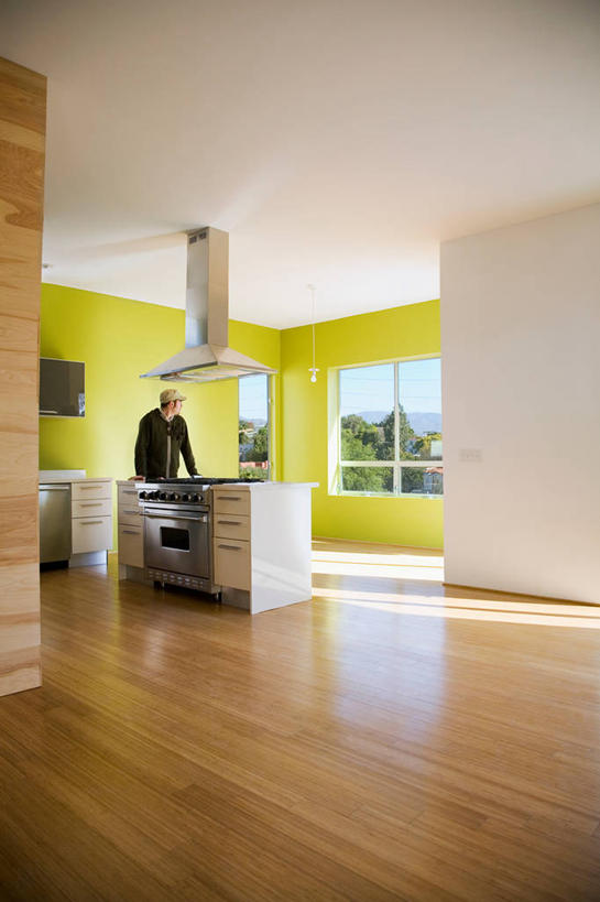 西方人,一个人,站,竖图,室内,白天,正面,厨房,地板,天花板,厨具,欧洲,欧洲人,仅一个男性,仅一个人,撑,阴影,服装,反射,工具,影子,墙,地面,扭头,注视,休闲装,干净,木地板,墙壁,墙面,仅一个年轻男性,一个,衣服,绿色,白色,观察,看,站着,转头,休闲,休闲服,服饰,单个,油烟机,观看,灶具,察看,卫生,撑着,吸油烟机,关注,燃气灶,燃气具,男人,男性,年轻男性,白种人,站立,彩图,全身,灶间