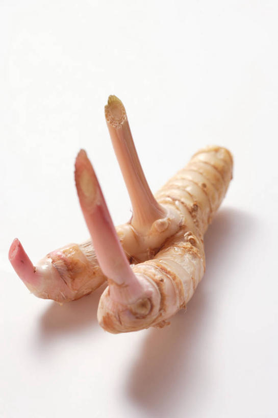 无人,竖图,俯视,室内,特写,白天,白色背景,植物,桌面,桌子,阴影,反射,木制,影子,草药,药草,中药,一个,木制品,摄影,影棚,单个,药材,中草药,高良姜,中药材,本草,风姜,枫姜,高凉姜,良姜,蛮姜,小良姜,彩图,高角度拍摄,影棚拍摄,拍摄