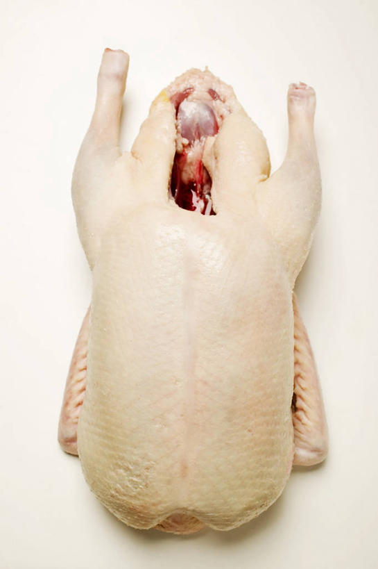 无人,竖图,俯视,室内,特写,白天,白色背景,餐桌,桌子,阴影,新鲜,反射,影子,肉,生食,肉类,一个,摄影,影棚,单个,餐台,肉食,彩图,高角度拍摄,影棚拍摄,拍摄,鹅肉