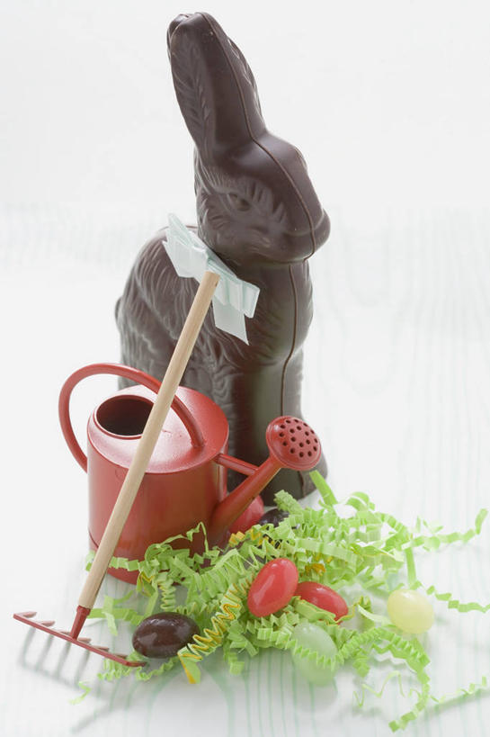 无人,竖图,俯视,室内,特写,白天,白色背景,桌面,桌子,哺乳动物,金属制品,雕塑,复活节,阴影,节日,庆祝,艺术,装饰,反射,金属,木制,兔子,雕刻,雕像,工具,壶,影子,食品,糖,糖果,甜点,甜品,洒水壶,文化,水壶,食物,动物,木制品,工艺品,甜食,巧克力,庆典,摄影,影棚,纪念,朱古力,黑巧克力,兔,美术,挖掘,锄,锄头,主题,陈列,农具,功能,美学,浇水壶,耕具,开掘,发掘,开垦,彩图,高角度拍摄,影棚拍摄,拍摄