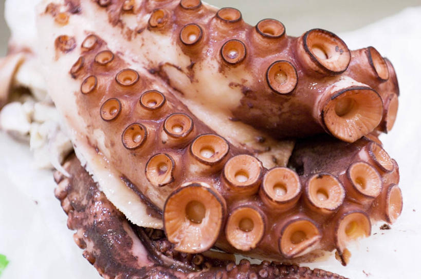 海鲜,无人,横图,俯视,室内,特写,白天,白色背景,桌面,桌子,鱿鱼,阴影,反射,木制,影子,水产,海洋生物,木制品,摄影,影棚,水生动物,海产品,水生物,海底动物,柔鱼,枪乌贼,半身,彩图,高角度拍摄,影棚拍摄,拍摄