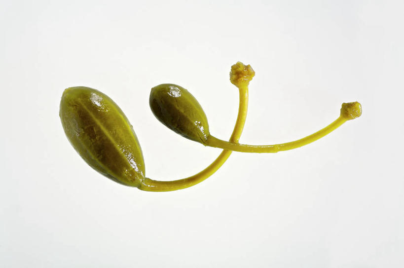 无人,横图,俯视,室内,特写,白天,白色背景,植物,餐桌,桌子,水果,阴影,反射,影子,草药,中药,两个,摄影,影棚,餐台,药材,中草药,马槟榔,中药材,本草,马金囊,水槟榔,紫槟榔,马金南,山槟榔,太极子,屈头鸡,彩图,高角度拍摄,影棚拍摄,拍摄