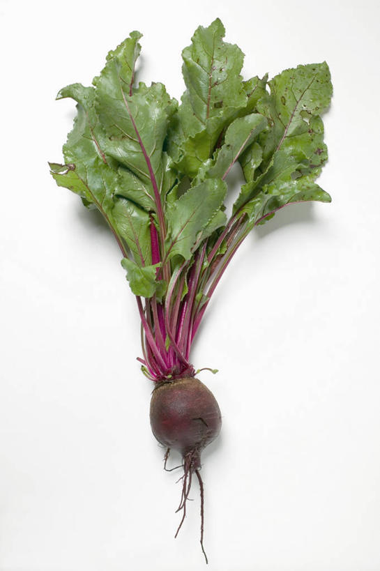 无人,竖图,俯视,室内,特写,白天,白色背景,餐桌,桌子,萝卜,蔬菜,叶子,阴影,新鲜,反射,影子,食品,绿叶,食物,一个,红色,嫩叶,摄影,有机食品,绿色食品,影棚,水萝卜,单个,餐台,叶,叶片,彩图,高角度拍摄,影棚拍摄,拍摄