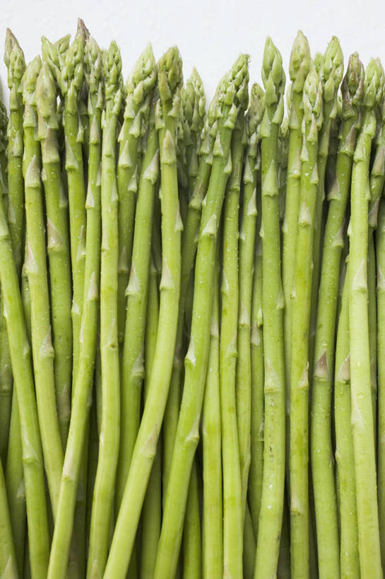 无人,竖图,俯视,室内,特写,白天,白色背景,餐桌,桌子,芦笋,蔬菜,一堆,许多,阴影,堆叠,堆积,新鲜,反射,影子,食品,食物,绿色,摄影,有机食品,绿色食品,影棚,餐台,堆,猪尾巴,药鸡豆子,石刁柏,蚂蚁杆,龙须菜,狼尾巴根,彩图,高角度拍摄,影棚拍摄,拍摄